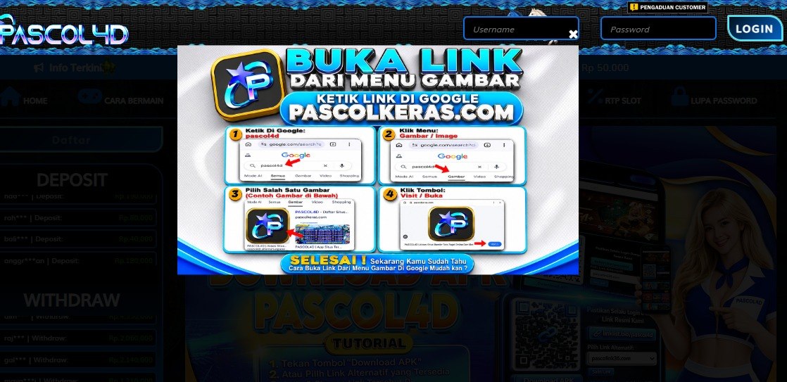 PASCOL4D